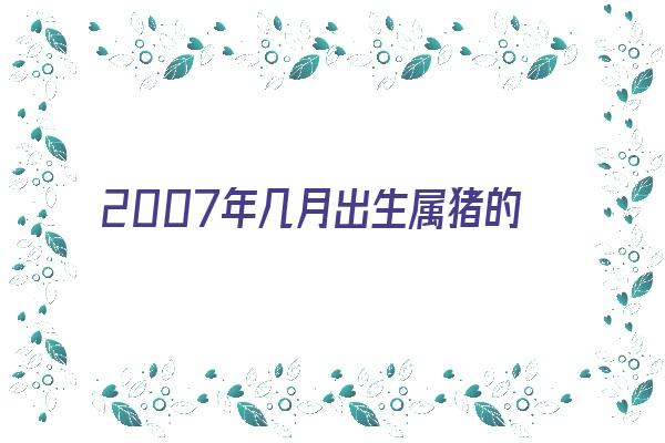 2007年几月出生属猪的命好《2007年属猪几月份命最好》