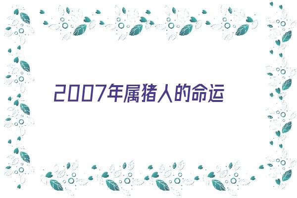 2007年属猪人的命运《2007年属猪人的命运好不好》 生肖运势