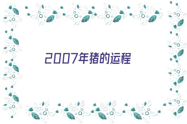 2007年猪的运程《2007年的猪的运势》