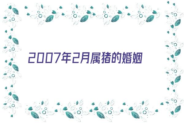  2007年2月属猪的婚姻如何《2007年2月属猪的婚姻如何呢》 生肖运势