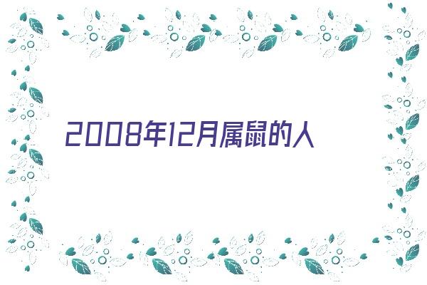 2008年12月属鼠的人命运性格《2008年12月属鼠的人命运性格如何》