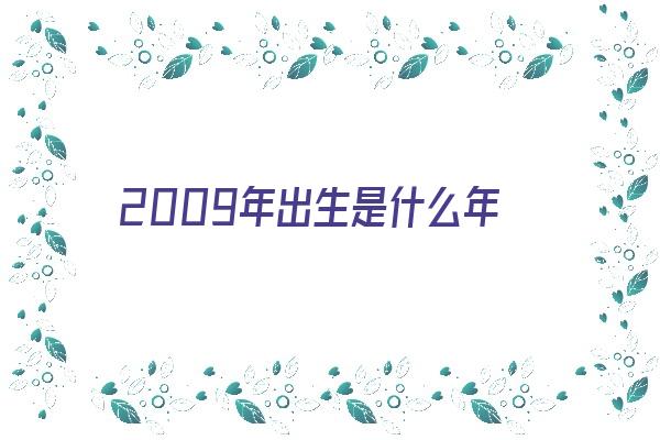 2009年出生是什么年《2009年出生是什么年代》