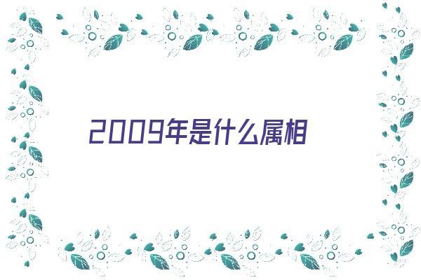 2009年是什么属相《2009年是什么属相的年》