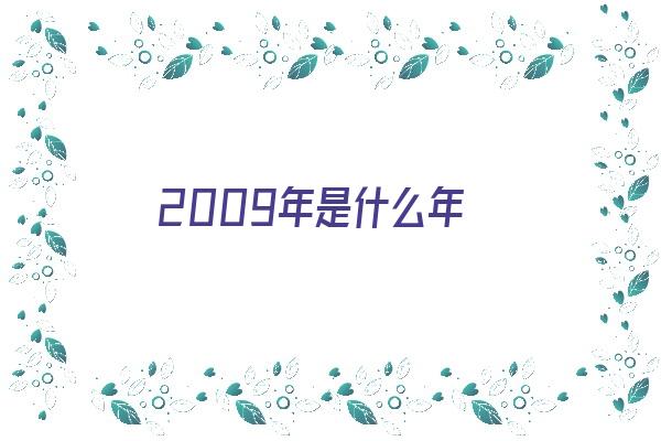 2009年是什么年《2009年是什么年属什么生肖》