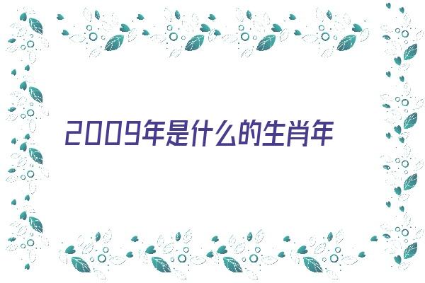 2009年是什么的生肖年《2009年是什么生肖年份》