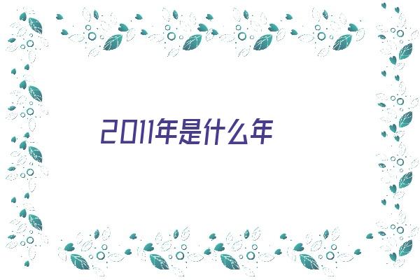 2011年是什么年《2011年是什么年属什么生肖》