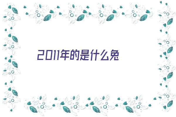 2011年的是什么兔《2011年的是什么兔年什么命》