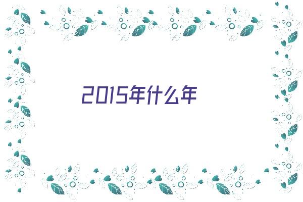 2015年什么年