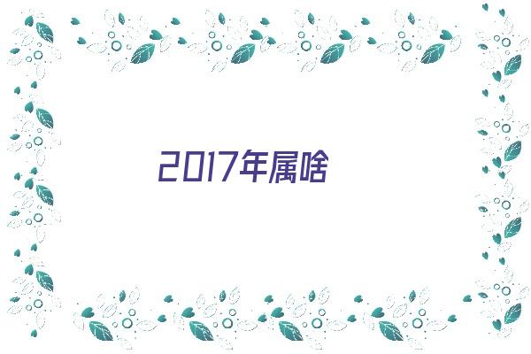 2017年属啥《2017年属啥的》