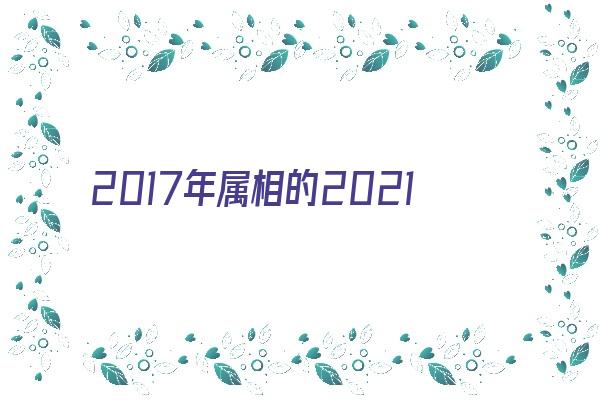 2017年属相的2021年运势《2017年属相运势详解》