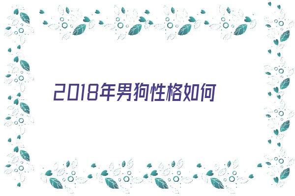  2018年男狗性格如何《2018年男狗的命运》 生肖运势