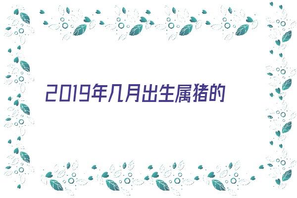 2019年几月出生属猪的最好《2019年几月出生属猪的最好命运》