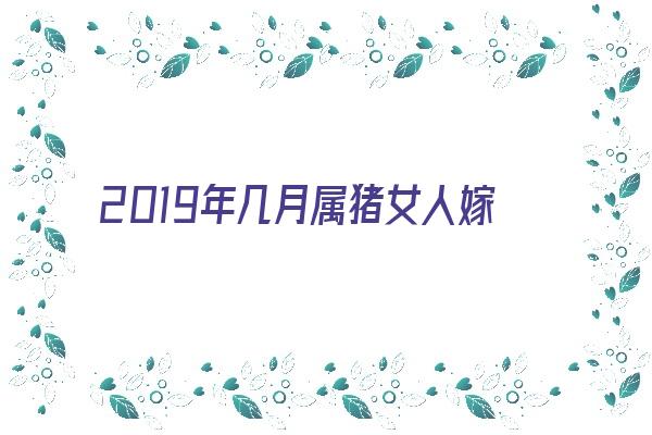 2019年几月属猪女人嫁得好《2019年几月属猪女人嫁得好呢》