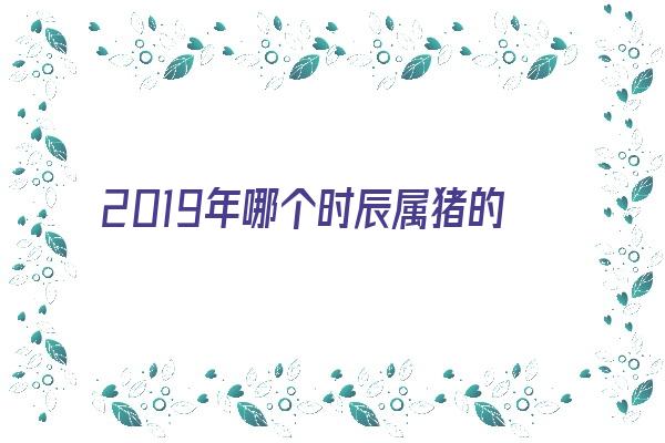  2019年哪个时辰属猪的福气多《2019年哪个时辰属猪的福气多一点》 生肖运势