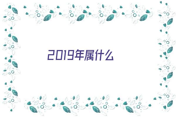 2019年属什么