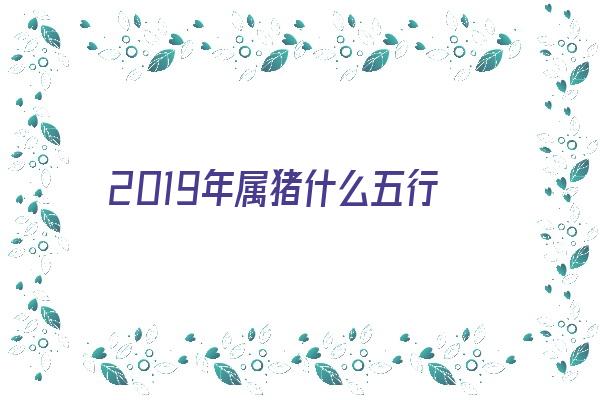 2019年属猪什么五行《2019年属猪什么五行属性》