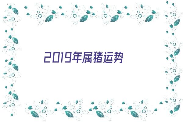 2019年属猪运势《2019年属猪运势及运程》