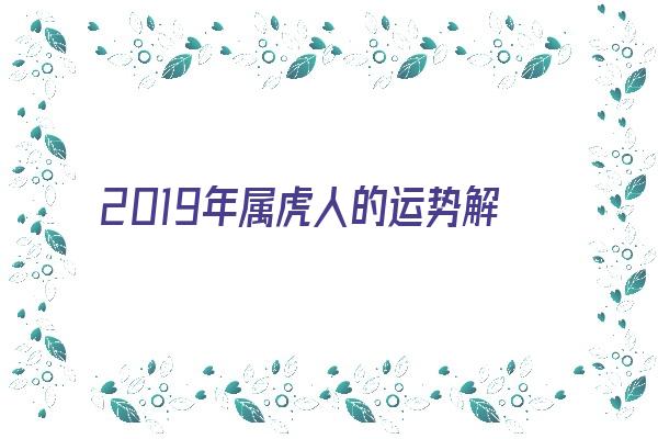 2019年属虎人的运势解析《2019年属虎人的运势解析女性》