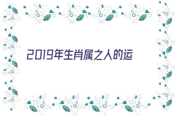  2019年生肖属之人的运势解析《2019年生肖属之人的运势解析图》 生肖运势