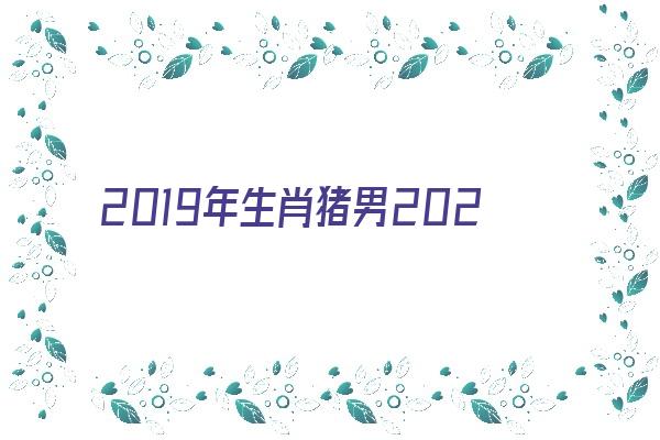 2019年生肖猪男2021年运程《2019年属猪男2021年运势》