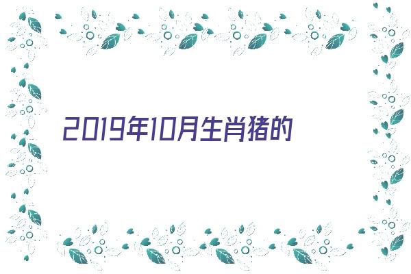 2019年10月生肖猪的特点《2019年10月属猪的是什么命》