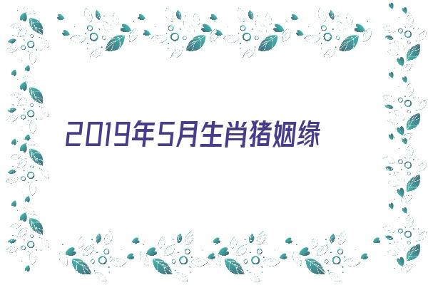 2019年5月生肖猪姻缘如何《2019年5月生肖猪姻缘如何呢》