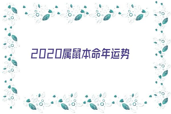 2020属鼠本命年运势《2020属鼠本命年运势如何》