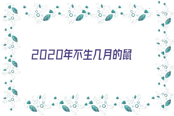 2020年不生几月的鼠《2020年不生几月的鼠宝宝好》