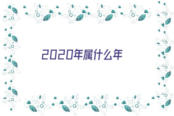 2020年属什么年《2020年是什么年啊》