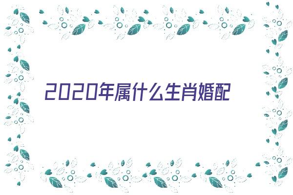 2020年属什么生肖婚配《2020年属什么生肖婚配最好》