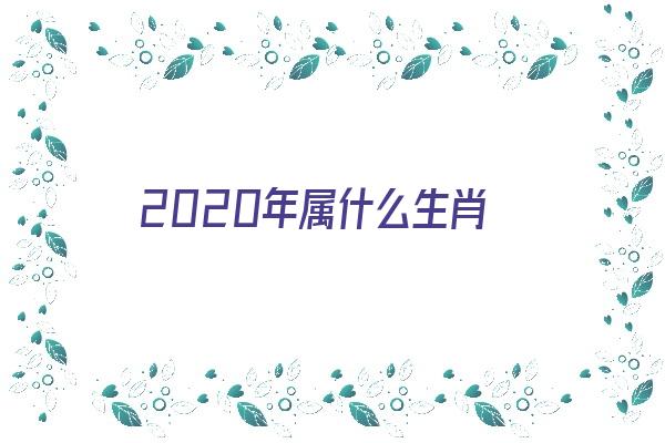 2020年属什么生肖