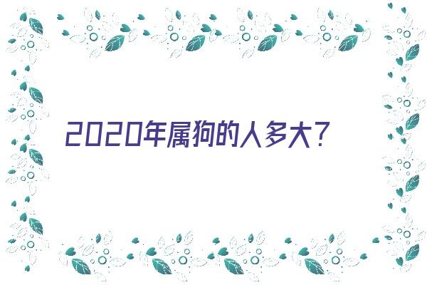 2020年属狗的人多大？《2020年属狗的人多大年龄》