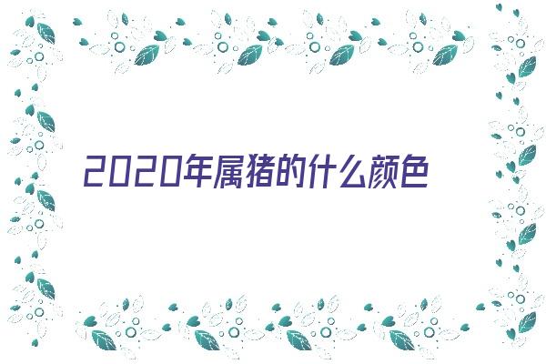 2020年属猪的什么颜色吉祥《2020年属猪的什么颜色吉祥呢》