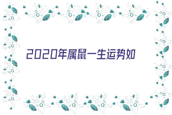 2020年属鼠一生运势如何《2020年属鼠一生运势如何呢》