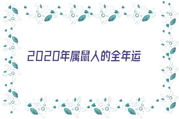 2020年属鼠人的全年运势《2020年属鼠人的全年运势如何》