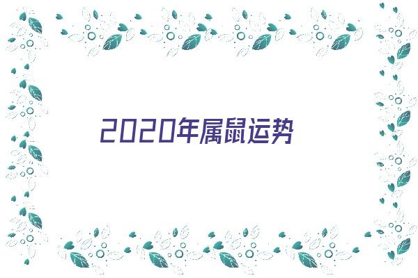 2020年属鼠运势《2020年属鼠运势及运程》