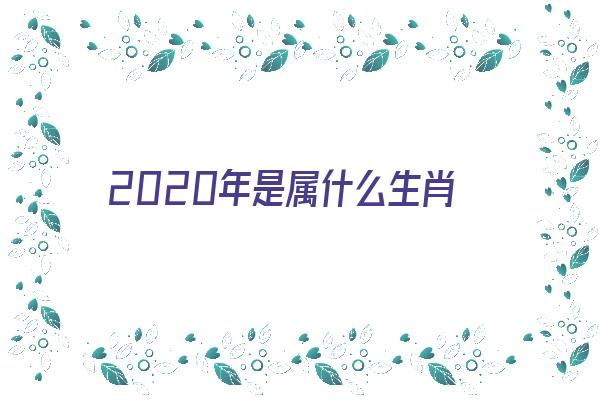 2020年是属什么生肖《2020年是属什么生肖属相》