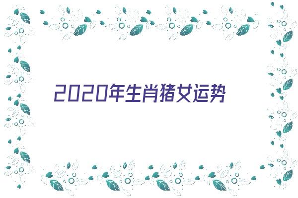 2020年生肖猪女运势《2020年生肖猪女运势如何》