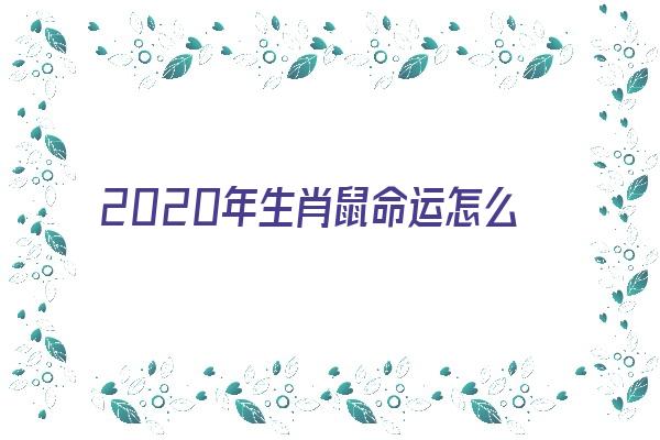 2020年生肖鼠命运怎么样《2020年生肖鼠命运怎么样呢》