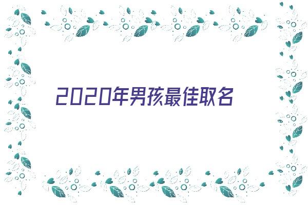 2020年男孩最佳取名《2020年男孩最佳取名嘉什么》