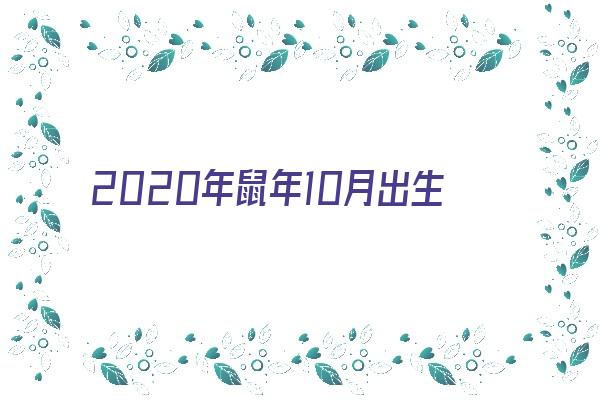 2020年鼠年10月出生的人《2020年鼠年10月出生的人的命运》