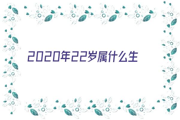 2020年22岁属什么生肖《2020年22岁属啥生肖》