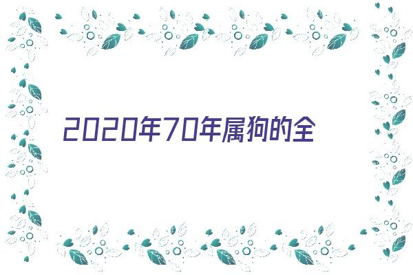 2020年70年属狗的全年运程《2020年70年属狗人的全年运势》