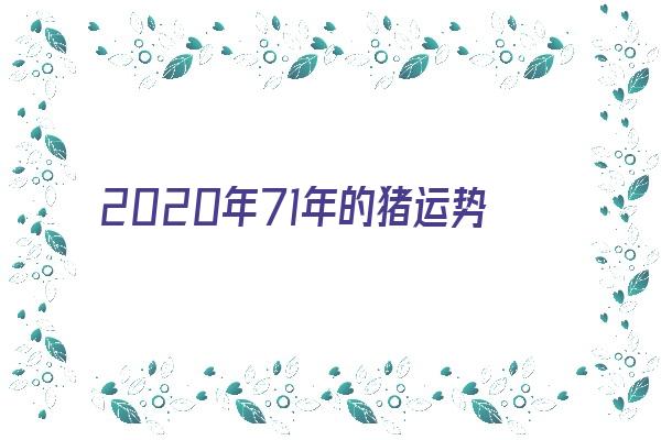 2020年71年的猪运势及运程《2020年71年生肖猪运势》