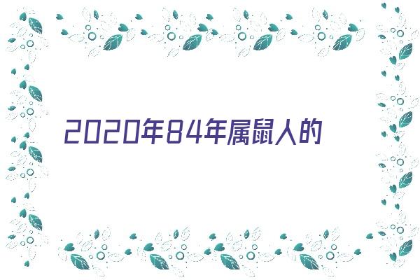 2020年84年属鼠人的全年运势《2020年84年属鼠人的全年运势如何》