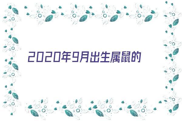  2020年9月出生属鼠的命运好吗《2020年9月出生属鼠的命运好吗女孩》 生肖运势