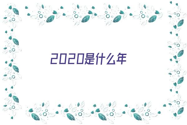 2020是什么年《2020是什么年平年闰年》