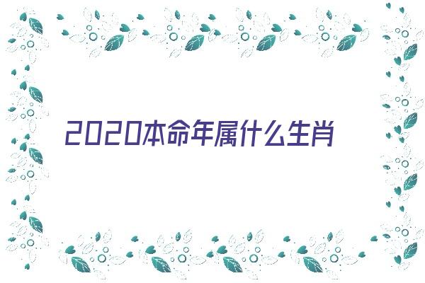 2020本命年属什么生肖《2020本命年属什么生肖多大》