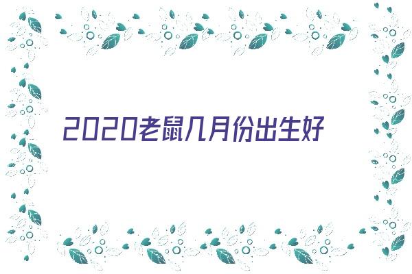 2020老鼠几月份出生好《2020老鼠几月份出生好命》