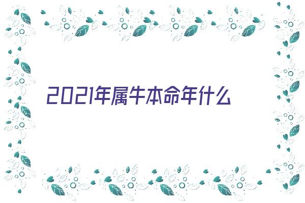 2021年属牛本命年什么时候开始算起 是年初一 立春还是生日那天呢《2021年属牛本命年从什么时候开始算》